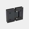 180 Glass to Glass Shower Hinge