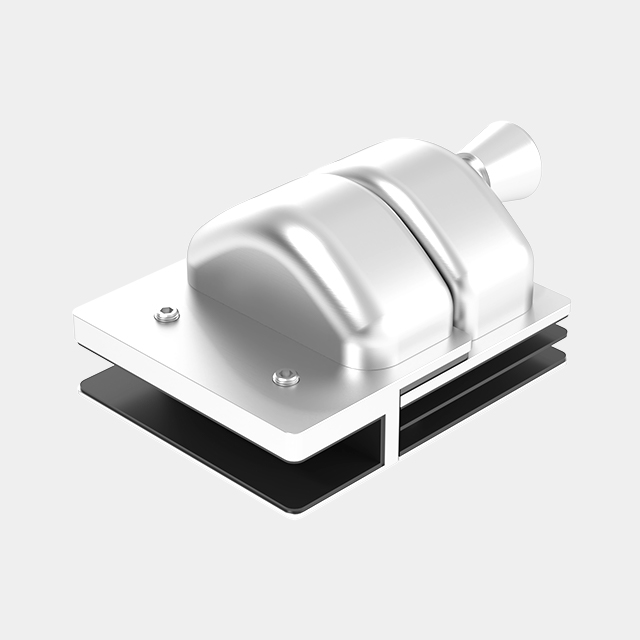 Full Stainless Steel Glass to Glass Latch