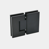 180 Glass to Glass Shower Hinge